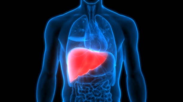 HEPATITIS- All You Need To Know
