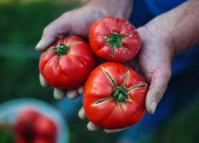 11 Nutrition Facts That Should Be Common Sense